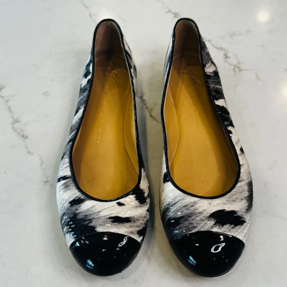 Giuseppe Zanotti giuseppe zanotti
